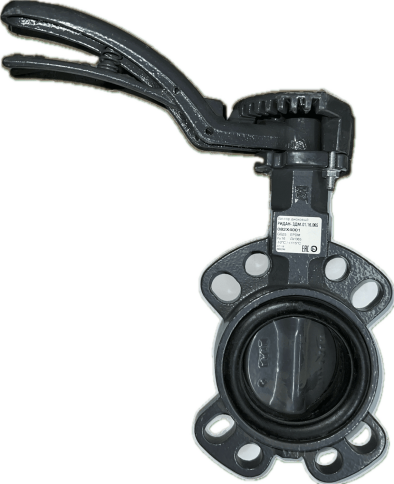 Затвор дисковый поворотный ЗДМ.01.16.065 DN65 PN16 (082X4001), Ридан фото 1